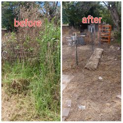 Clean UPS And Palm Tree Trimming 