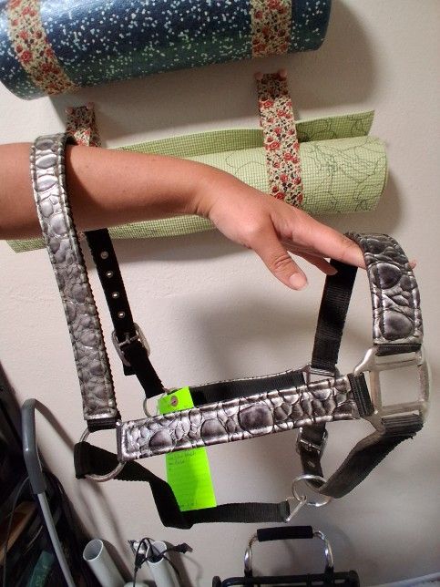 Horse Halter