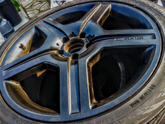 AMG 19s