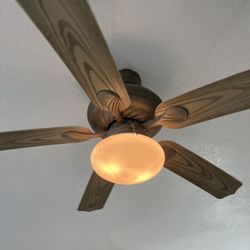 Ceiling Fans