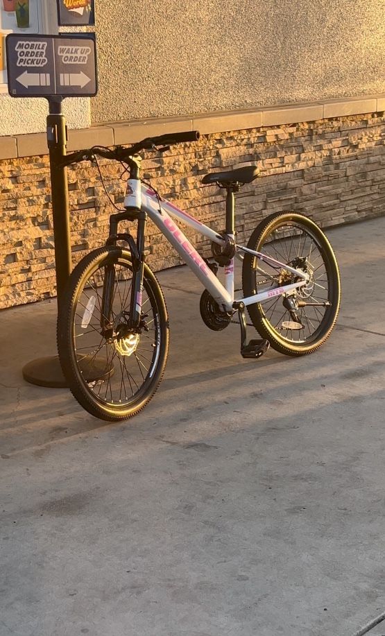 Mountain bike