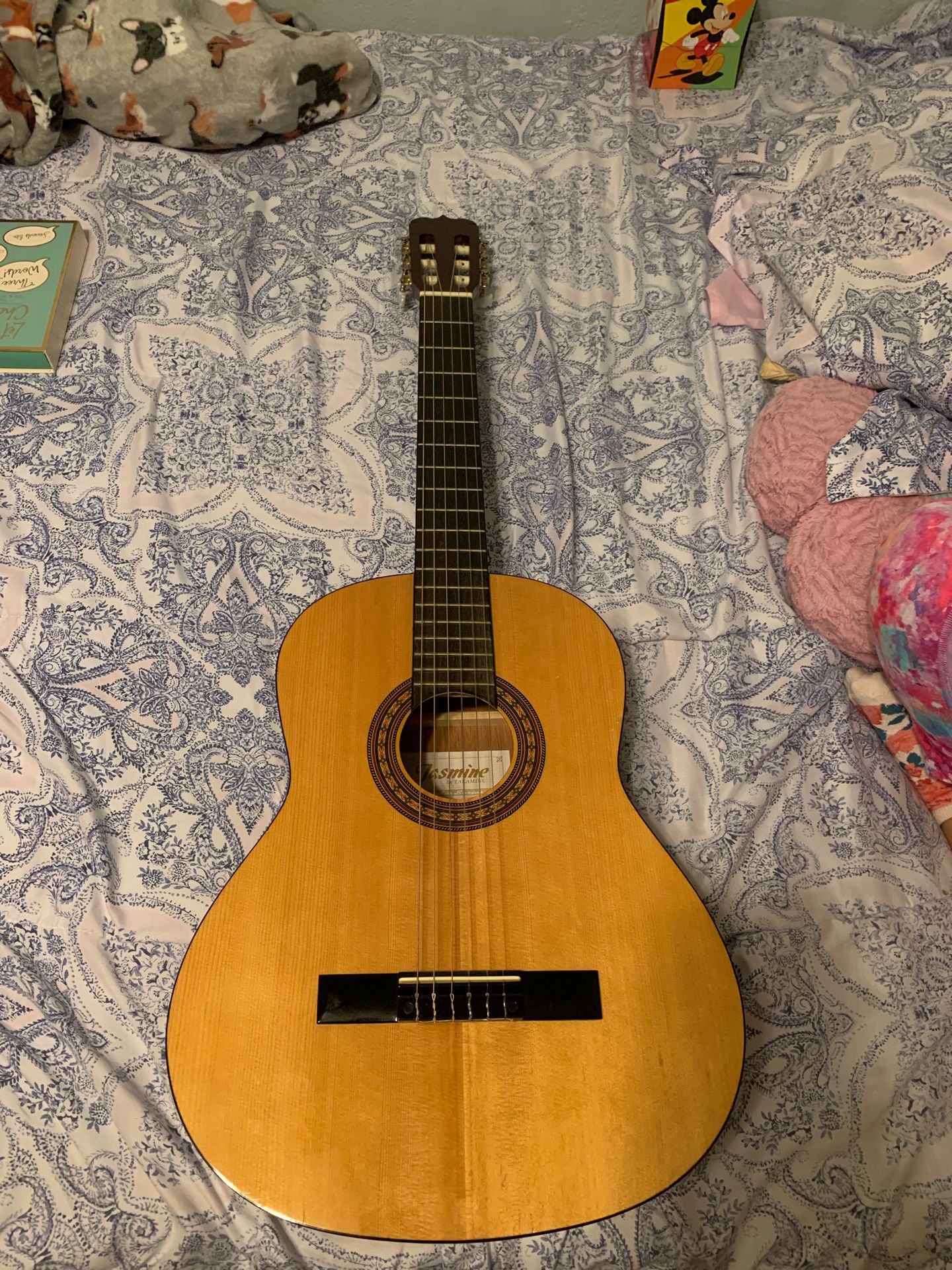 Guitar