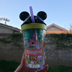 Disney snack cup