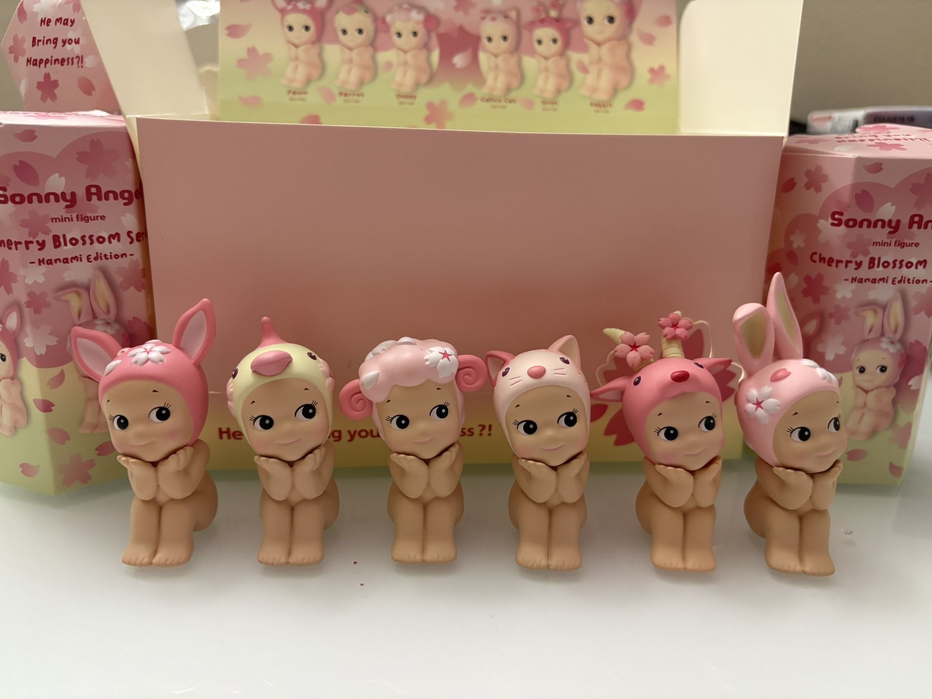 Cherry blossom Series -Hanami Edition