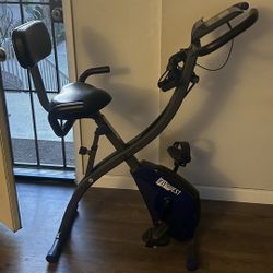 FITQUEST Recumbent Exercise Bike