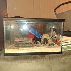 Good Hermit Crab Cage