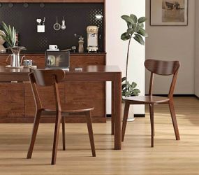 Wood Modern Dinner Chairs