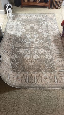Lauren Ralph Lauren Area Rug 5 x 8 Sage/Beige