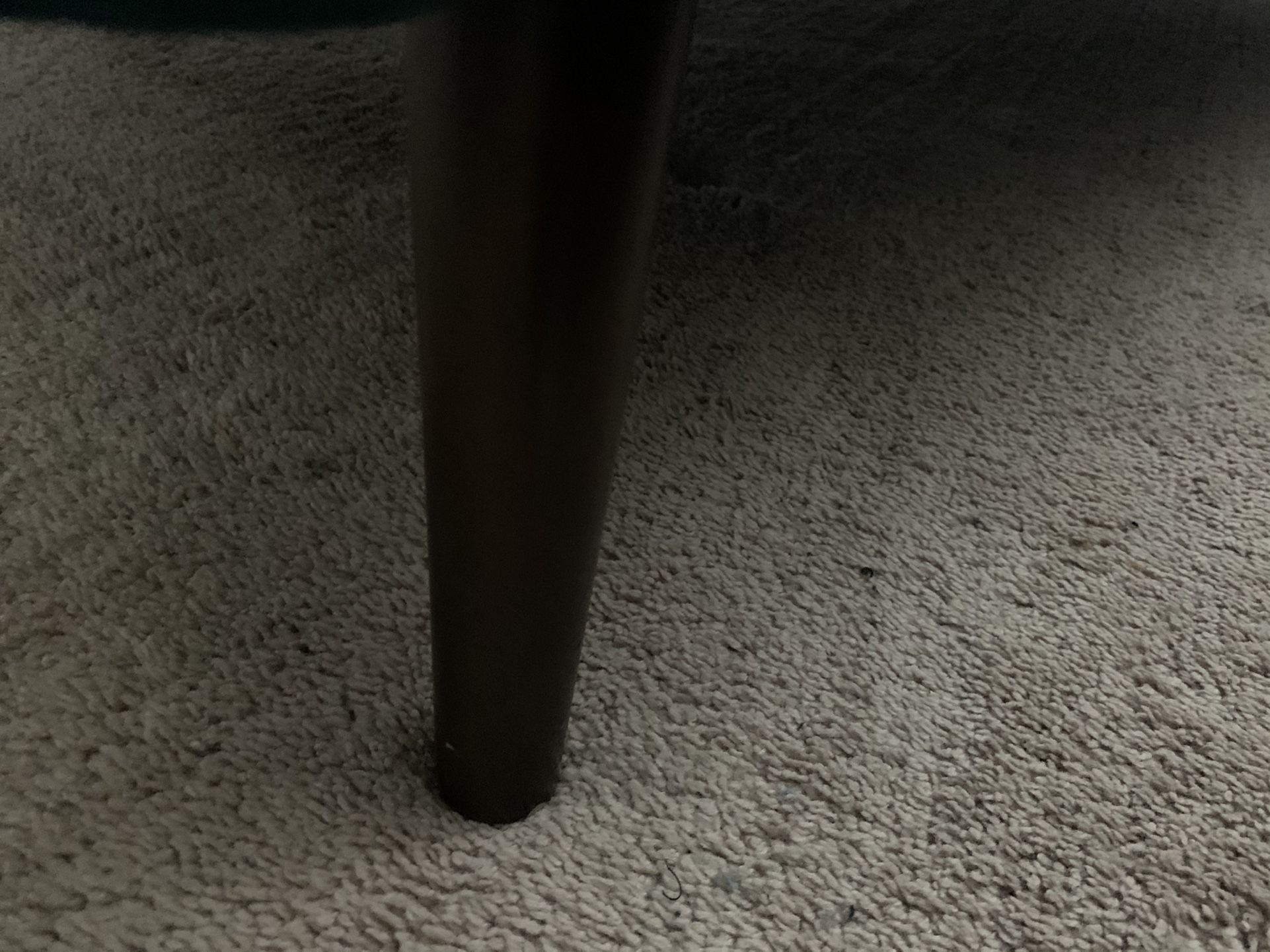 Velvet Chase-Like New!