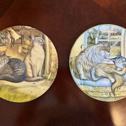 Cat Collectible Plates by Zoe Stokes