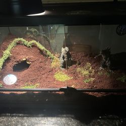 Thrive Essentials kit Enclosure Cage Snake and Reptile