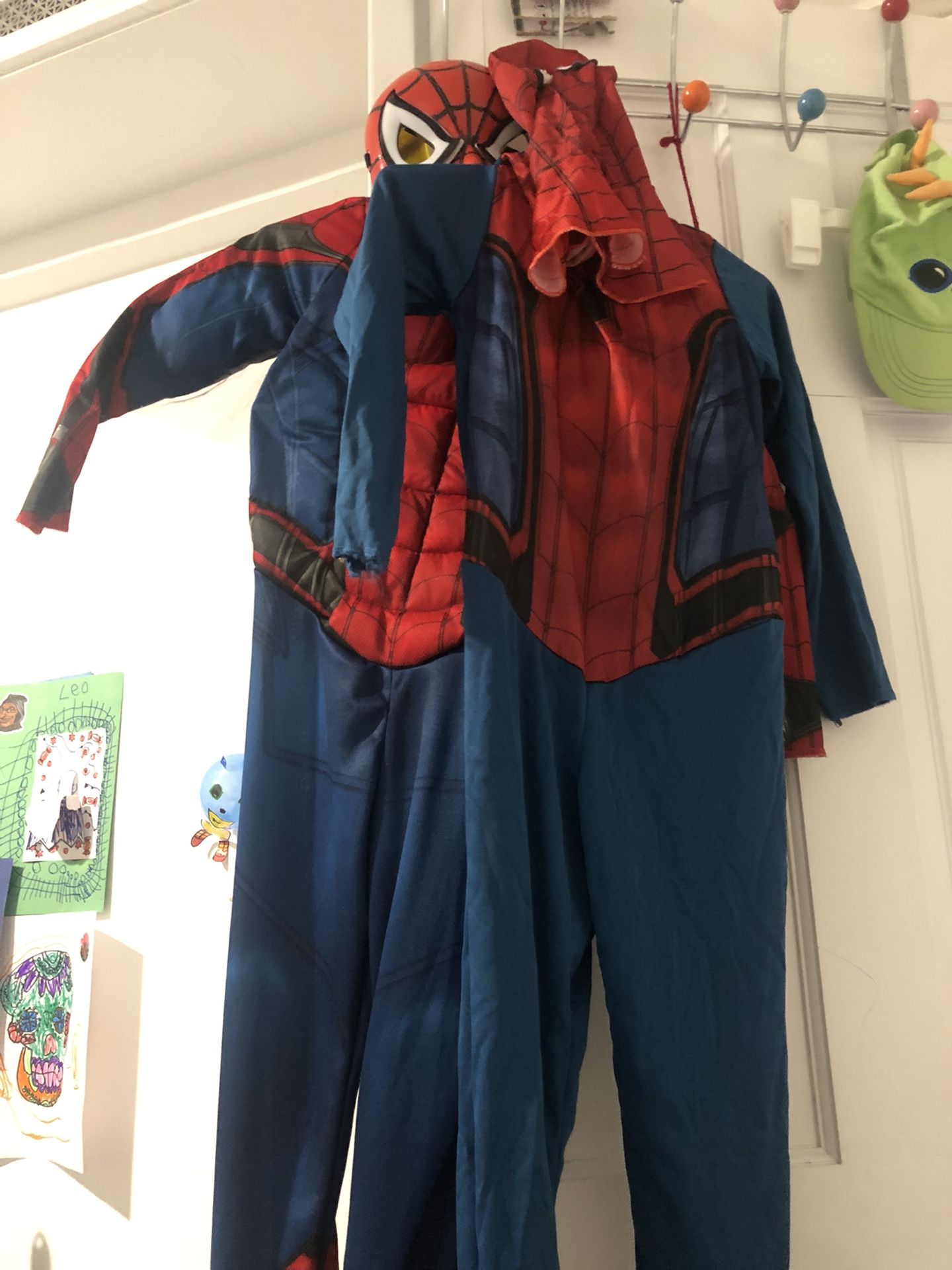 Halloween Costume Spider-Man