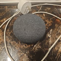 Google Mini 