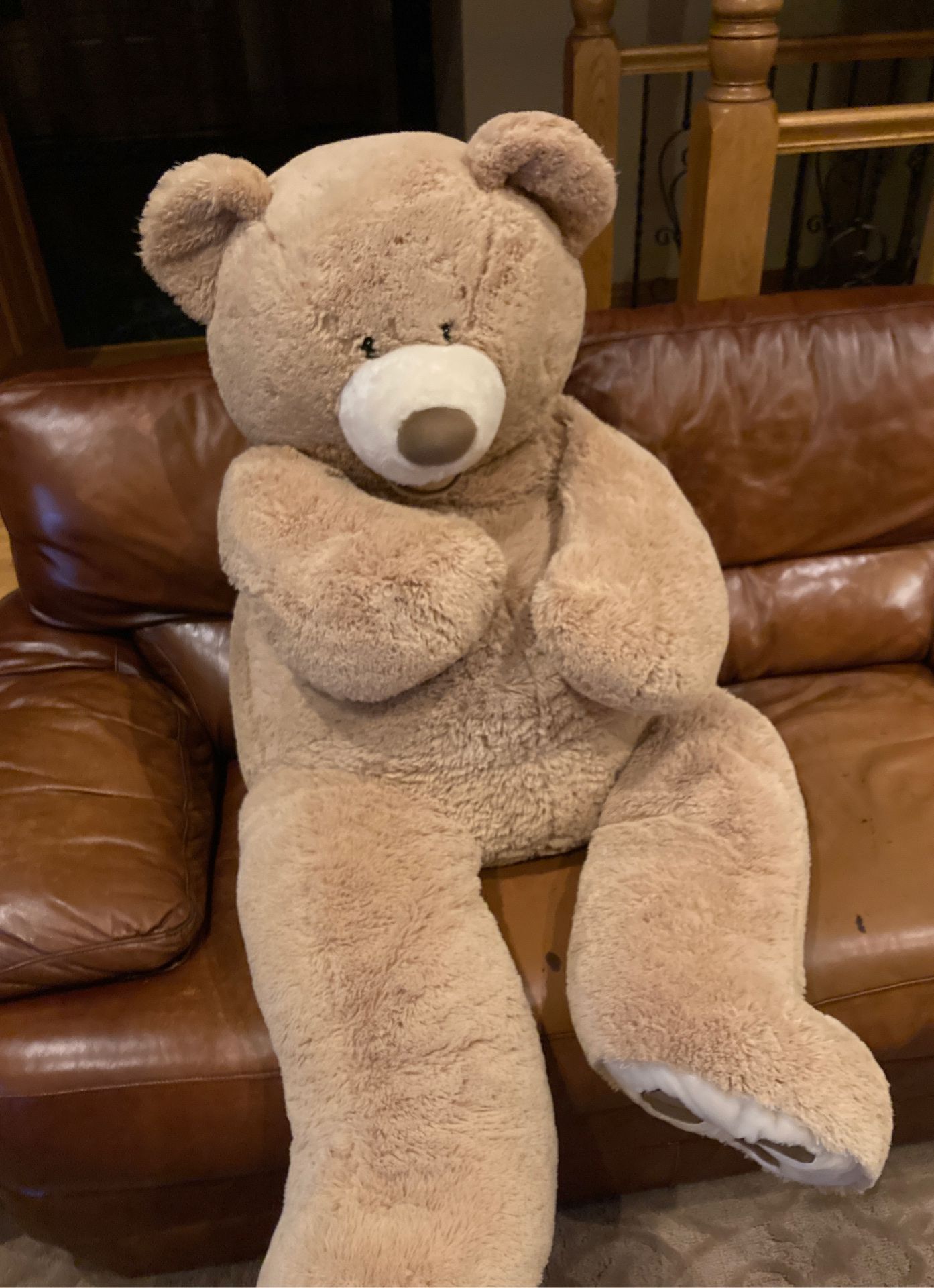 Giant Teddy Bear (from Costco)