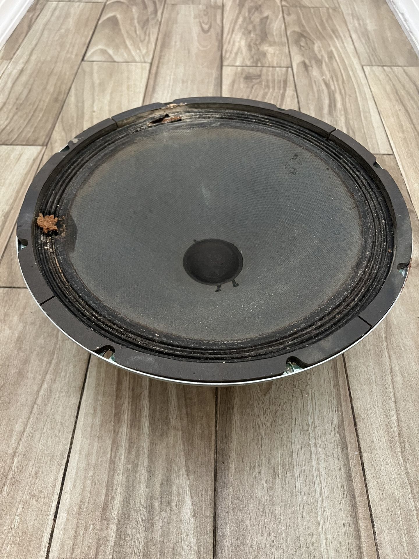 Vintage Zenith 15 Inch Woofer