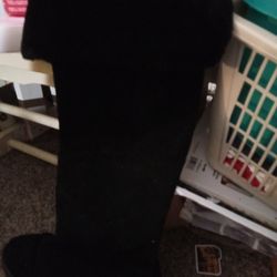 High Black Boots Size 8M