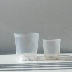 Pair Set Of 2 Clear Orchid Plant Planter/ Flower Pot/ Plant Pot Patio Garden 