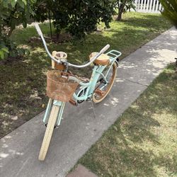 Beach Cruiser 24