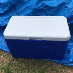 Coleman Cooler