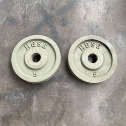 5LB (2) HGSG Weights 
