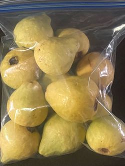 Guava’s