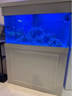 90 gallon saltwater aquarium