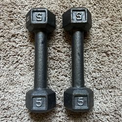 Weights 5lb Dumb Bells