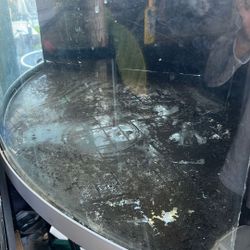 Glass Tank - Corner Aquarium - 90 Gallon AIO