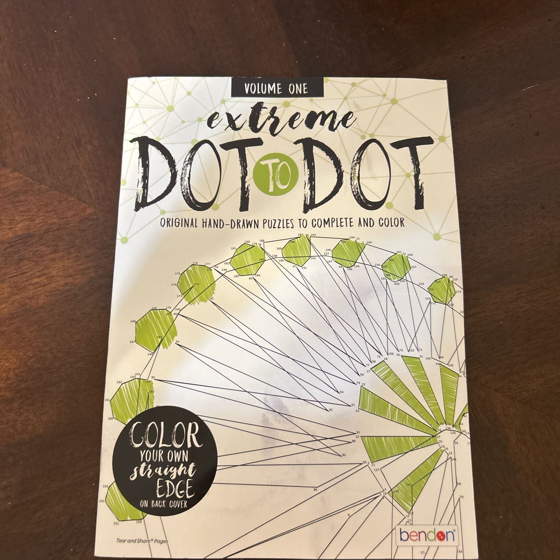 Extreme Dot to Dot Puzzle Book