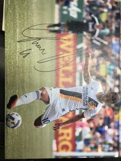 Dos Santos Signed Canvass - COA