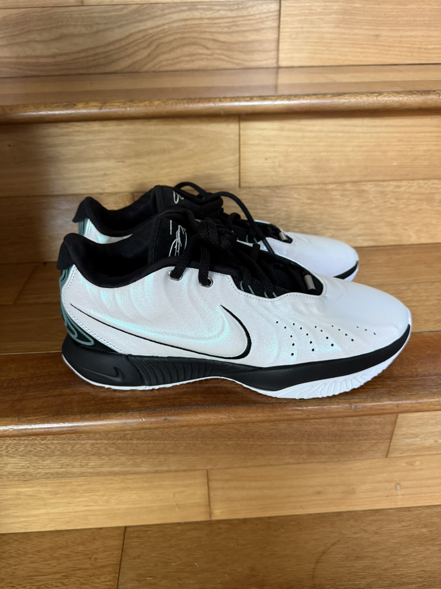 Nike LeBron Shoes Men’s Size 10.5