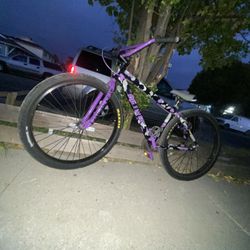 Se Bikes “Big Flyer” 29 In Maxxis Tires