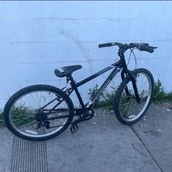 RockRider ST100  mountain