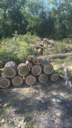 Free firewood