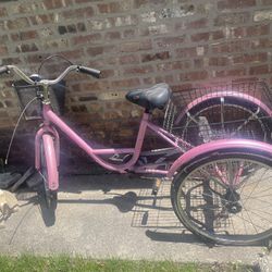 Pink Adult Tricycle 
