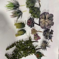 15 Piece Fake Succulents