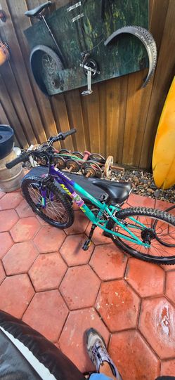 Kids Mountain Bike - 24"