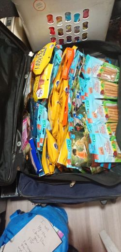 dog treats, food and bones 