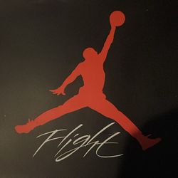 Air Jordan 4s retro white sommet