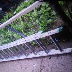 $200  For 1-24ft Pull Up & 2 Orange Ladders