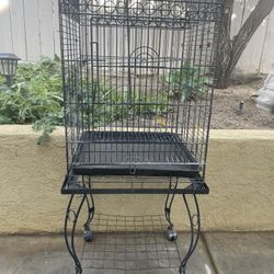 Bird Cage