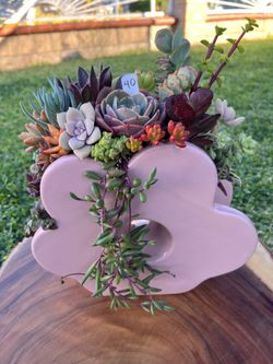 Mother’s Day Succulent arrangement