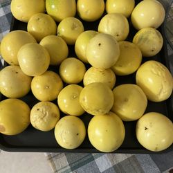 Fresh Passion Fruit 