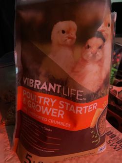 BB RED BANTAM (feed)