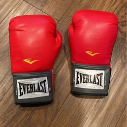 Everlast Boxing Gloves