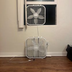 Box Fans