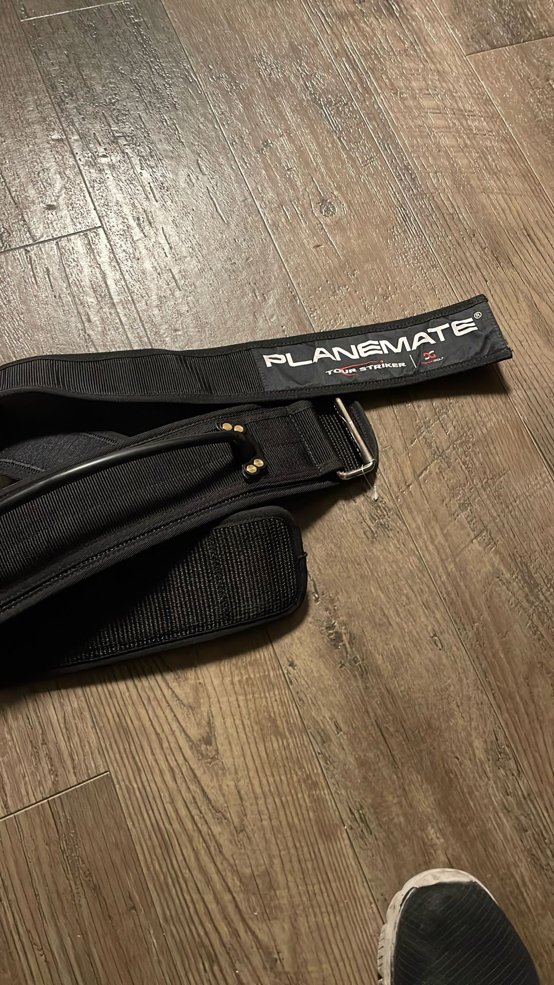 Belt
