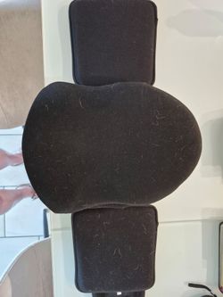 Back Brace