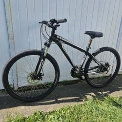 Specialized Mountain Bike 