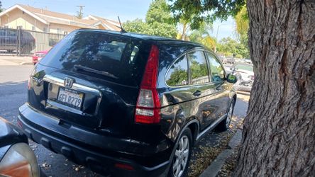 Honda Crv